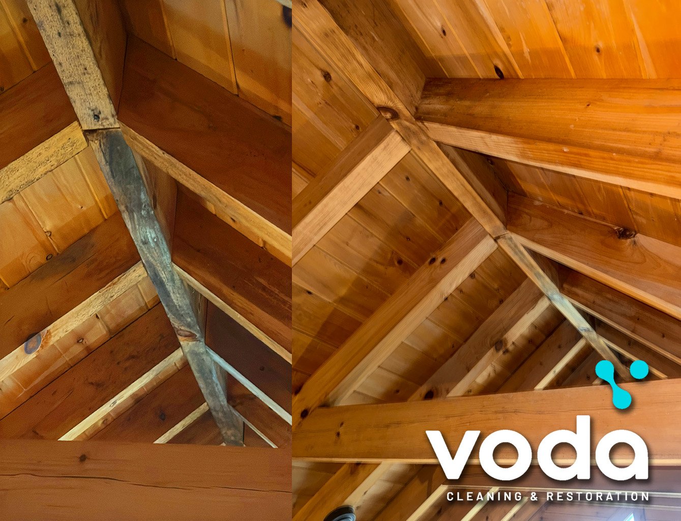 mold damage