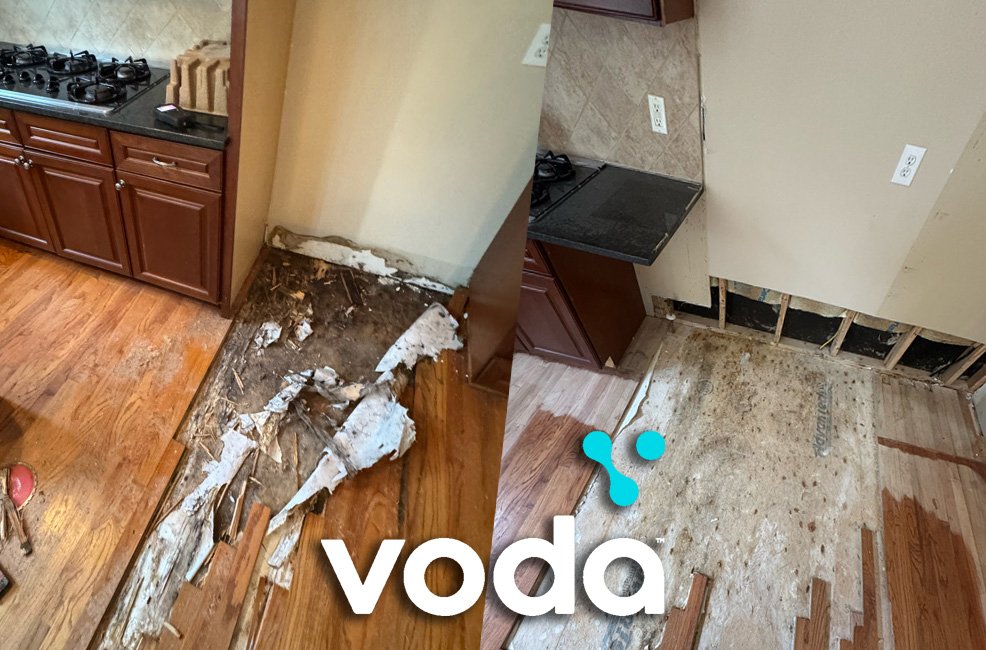 mold remediation